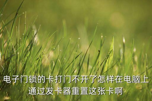 電子門(mén)鎖的卡打門(mén)不開(kāi)了怎樣在電腦上通過(guò)發(fā)卡器重置這張卡啊
