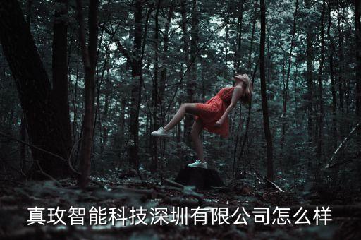真玫智能科技深圳有限公司怎么樣