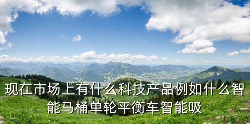 現(xiàn)在市場上有什么科技產(chǎn)品例如什么智能馬桶單輪平衡車智能吸