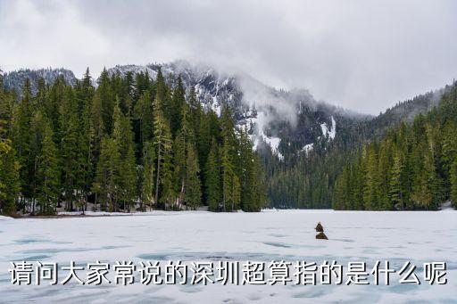 請(qǐng)問大家常說的深圳超算指的是什么呢