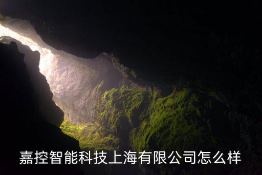 嘉控智能科技上海有限公司怎么樣