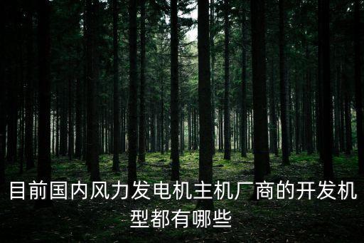 目前國(guó)內(nèi)風(fēng)力發(fā)電機(jī)主機(jī)廠商的開發(fā)機(jī)型都有哪些