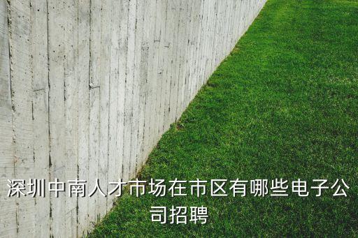 深圳中南人才市場在市區(qū)有哪些電子公司招聘