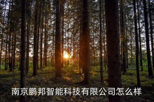 鵬洲智能科技怎么樣，南京鵬邦智能科技有限公司怎么樣