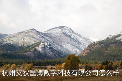 杭州艾狄墨搏數(shù)字科技有限公司怎么樣