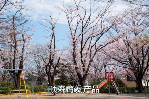 頂森育發(fā)產(chǎn)品