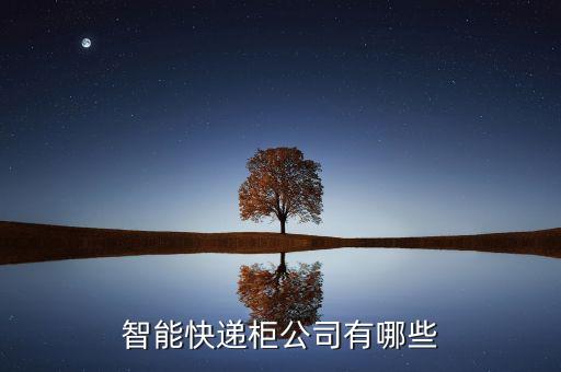 智能快遞柜公司有哪些