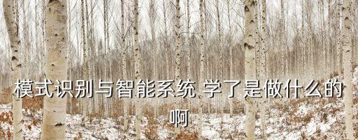 模式識別與智能系統(tǒng) 學了是做什么的啊