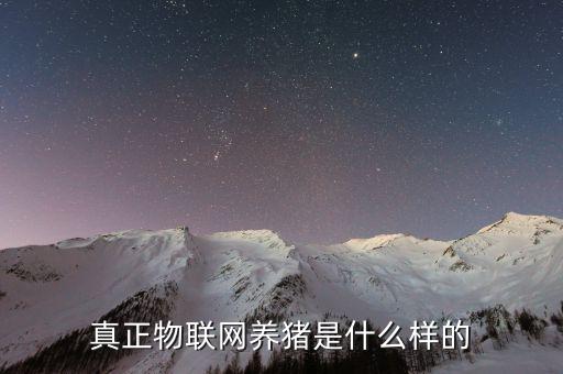 智能養(yǎng)豬有哪些高科技，科技養(yǎng)豬能致富嗎