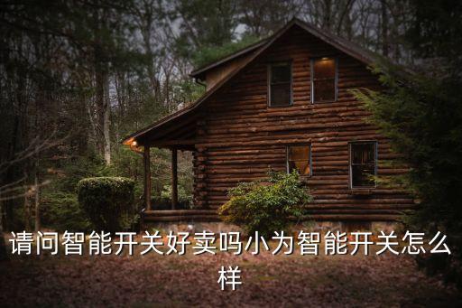 小持智能科技怎么樣，請問智能開關(guān)好賣嗎小為智能開關(guān)怎么樣