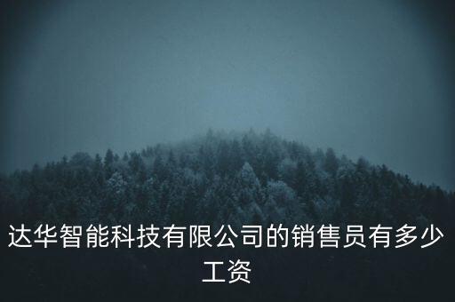 達(dá)華智能科技有限公司的銷(xiāo)售員有多少工資