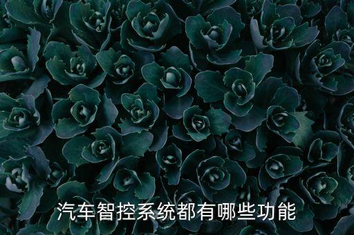 汽車智控系統(tǒng)都有哪些功能