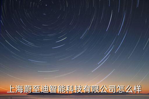 上海蔚至迪智能科技有限公司怎么樣