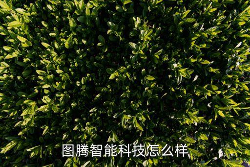 圖騰智能科技怎么樣