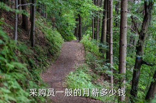 采購員一般的月薪多少錢