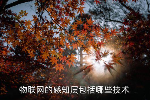 物聯(lián)網(wǎng)的感知層包括哪些技術(shù)