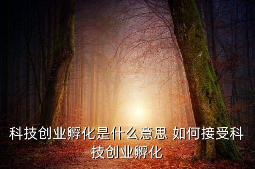 科技創(chuàng)業(yè)孵化是什么意思 如何接受科技創(chuàng)業(yè)孵化