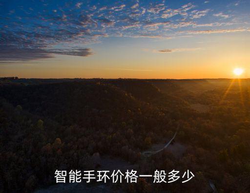 智能手環(huán)價(jià)格一般多少