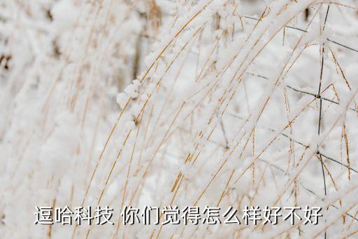 逗哈科技 你們覺得怎么樣好不好