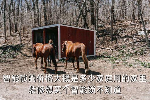 智能鎖的價(jià)格大概是多少家庭用的家里裝修想買(mǎi)個(gè)智能鎖不知道