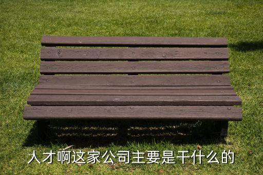 人才啊這家公司主要是干什么的