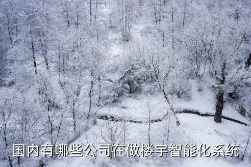 智能樓宇科技公司有哪些，外企樓宇智能化公司有哪些