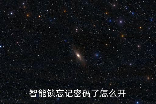智能鎖忘記密碼了怎么開