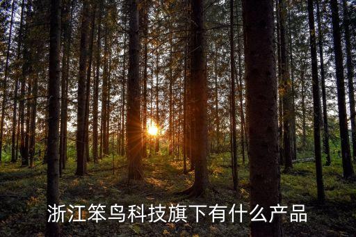 浙江笨鳥科技旗下有什么產(chǎn)品