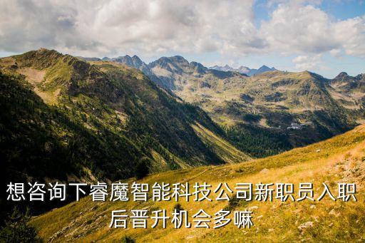 想咨詢下睿魔智能科技公司新職員入職后晉升機會多嘛
