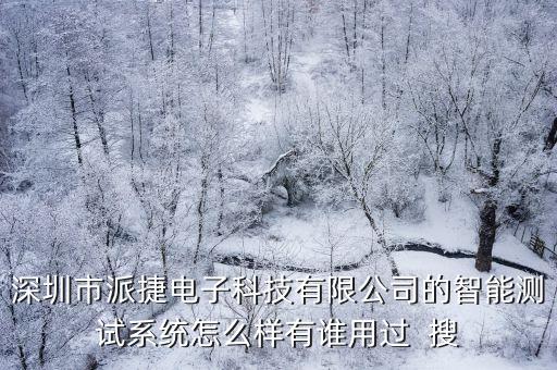 派迅智能科技怎么樣，派逗數(shù)字科技技術(shù)值得信賴(lài)嗎