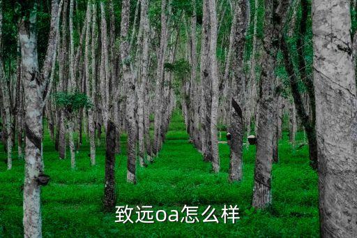 中匯致遠(yuǎn)智能科技怎么樣，致遠(yuǎn)OA怎么樣誰(shuí)知道