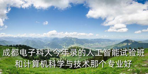 成都電子科大今年錄的人工智能試驗班和計算機科學與技術那個專業(yè)好
