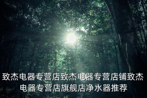 致杰電器專營(yíng)店致杰電器專營(yíng)店鋪致杰電器專營(yíng)店旗艦店凈水器推薦