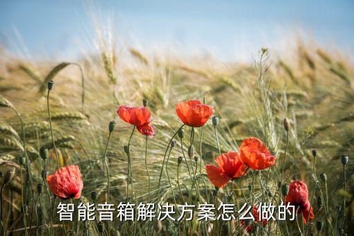 智能音箱如何成為科技，智能音箱解決方案怎么做的