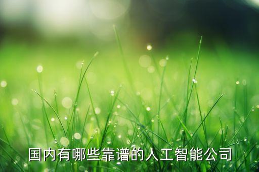 國內(nèi)有哪些靠譜的人工智能公司