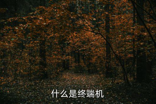 什么是終端機(jī)