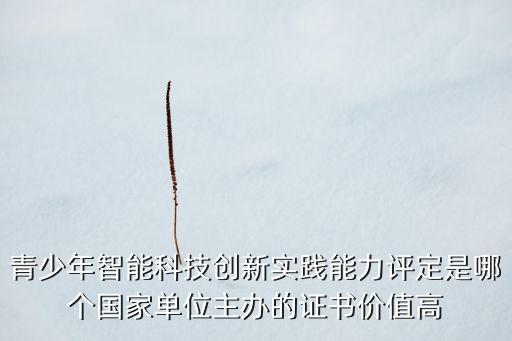 青少年智能科技創(chuàng)新實踐能力評定是哪個國家單位主辦的證書價值高