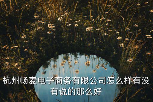 杭州暢麥電子商務(wù)有限公司怎么樣有沒(méi)有說(shuō)的那么好