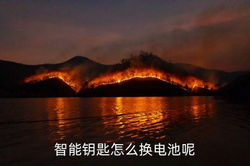 智能鑰匙怎么換電池呢