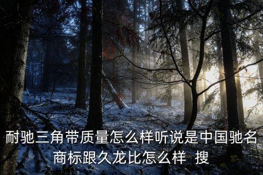 耐馳三角帶質(zhì)量怎么樣聽說是中國馳名商標跟久龍比怎么樣  搜