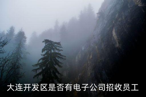 大連開發(fā)區(qū)是否有電子公司招收員工