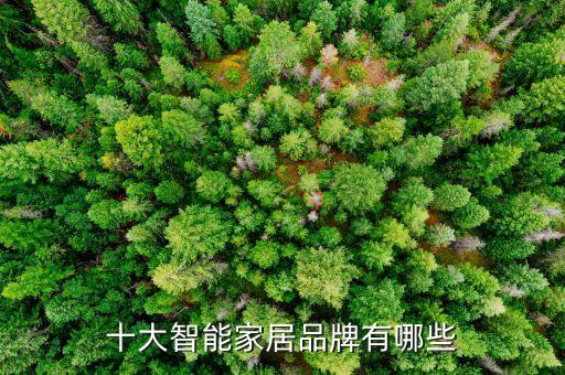 十大智能家居品牌有哪些