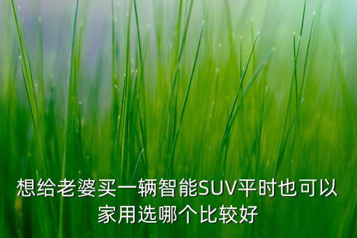 智能科技suv哪個(gè)好，想給老婆買一輛智能SUV平時(shí)也可以家用選哪個(gè)比較好