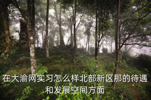 大渝智能科技怎么樣，在大渝網(wǎng)實(shí)習(xí)怎么樣北部新區(qū)那的待遇和發(fā)展空間方面
