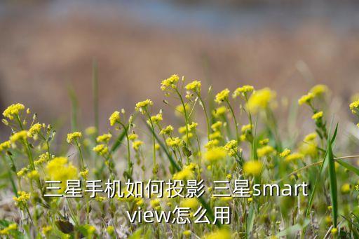 三星手機如何投影 三星smart view怎么用
