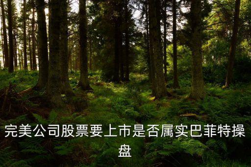 完美公司股票要上市是否屬實(shí)巴菲特操盤(pán)