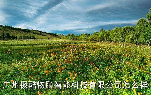 廣州極酷物聯(lián)智能科技有限公司怎么樣