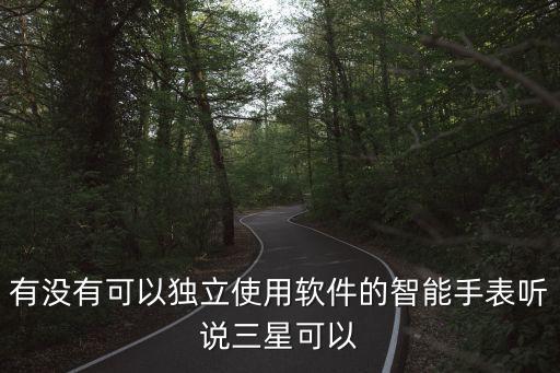 有沒有可以獨立使用軟件的智能手表聽說三星可以