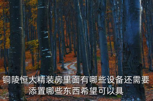 恒大小區(qū)有哪些智能科技，北京恒大軟件有限公司產(chǎn)品介紹
