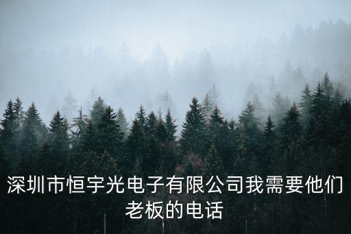 深圳市恒宇光電子有限公司我需要他們老板的電話
